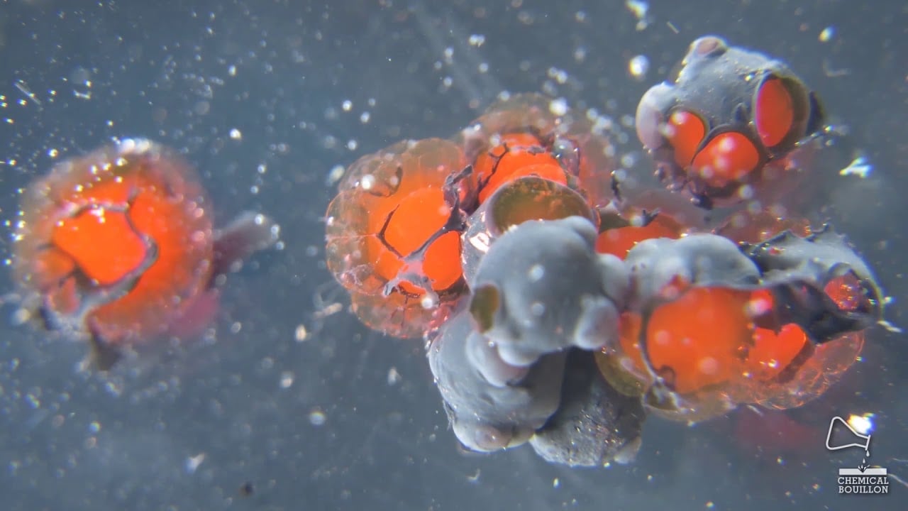 Experiment orbeez -Alien eggs ? Like a Virus ?  -  Marcro time lapse - Chemical Bouillon