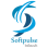 Avatar of Softpulse Infotech