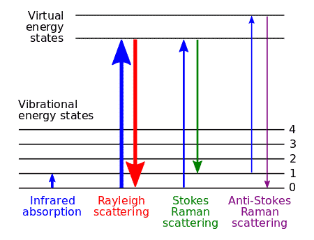 Energy Levels