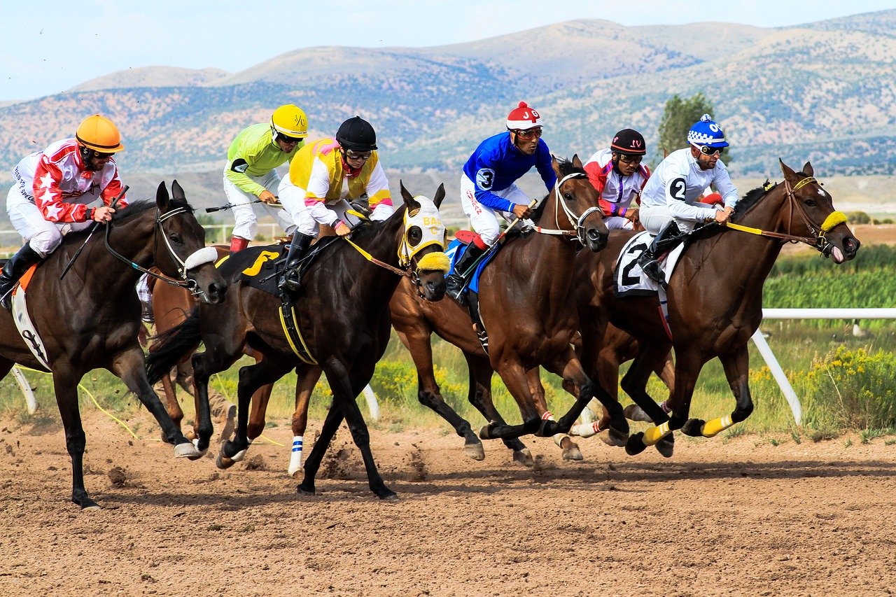 horse racing - sports betting