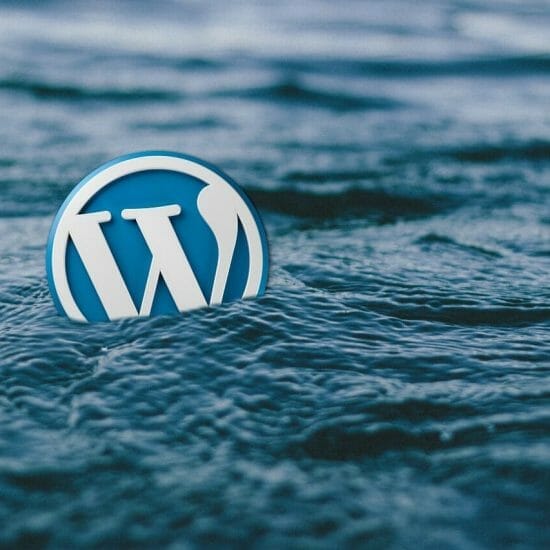 wordpress, water, logo