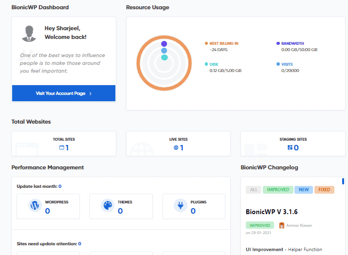 BionicWP Review Dashboard