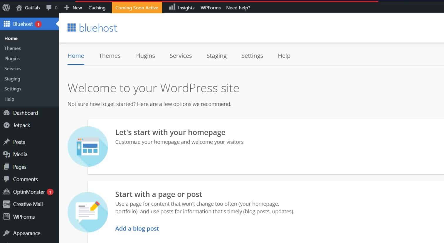 Create a Business Website with Bluehost and WordPress Step 17