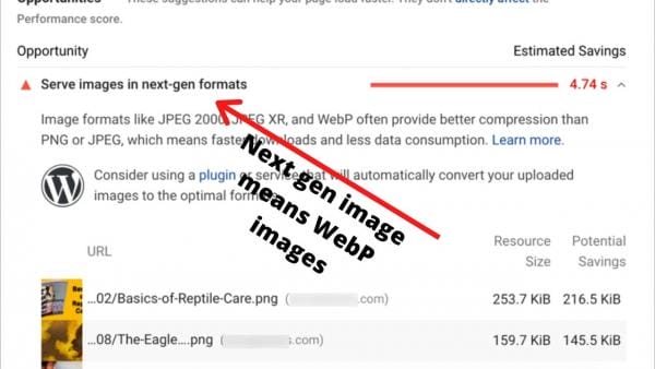 Add a heading 29 1623100148 42.111.31.254 1