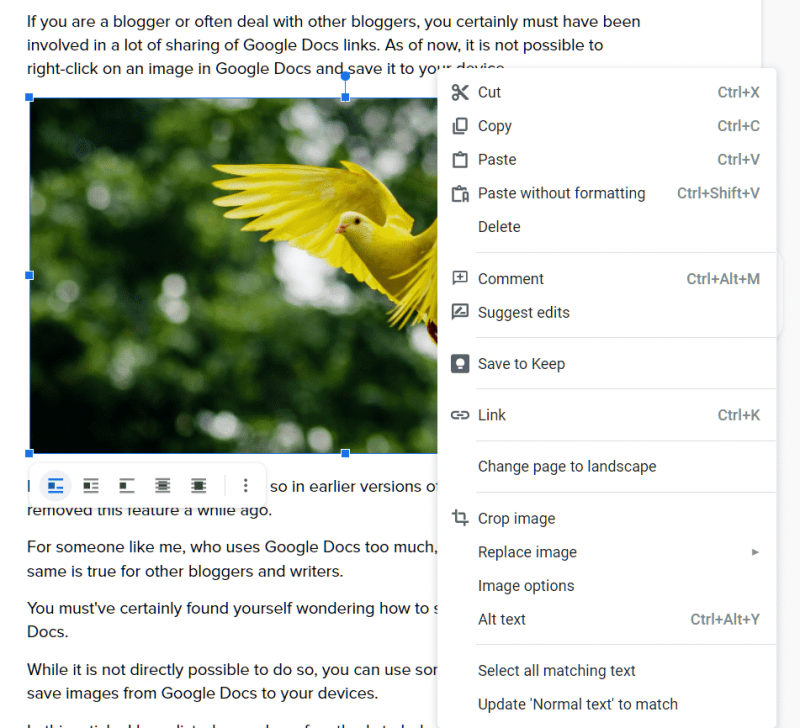 How to Save Images From Google Docs Document to Your Mac or PC