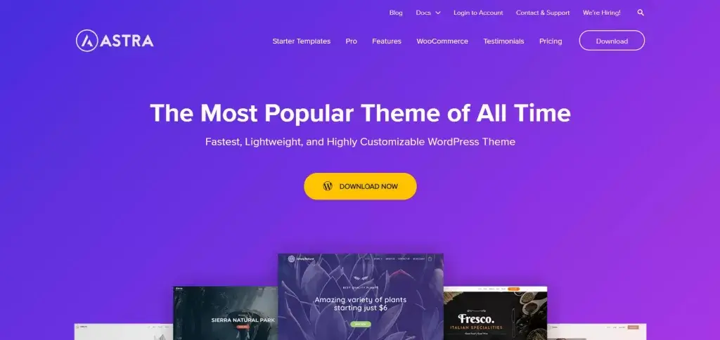 astra theme 2 1024x484 1