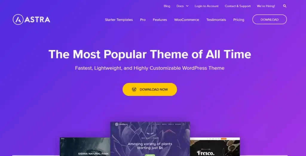 astra wordpress theme 1024x524 1