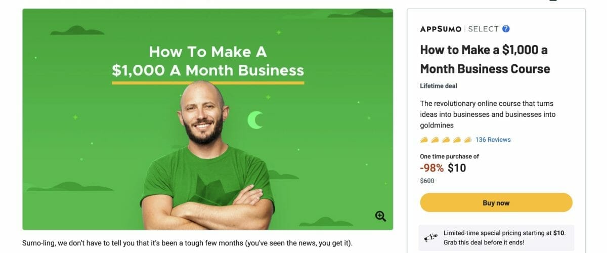 $1000 a Month Business Course Screen