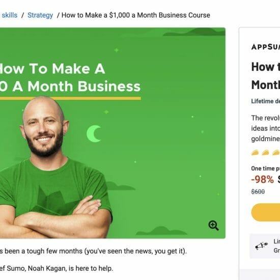 $1000 a Month Business Course Screen