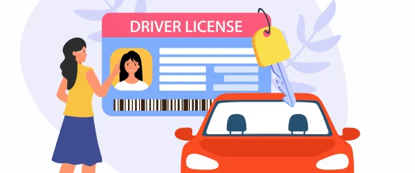 car license design