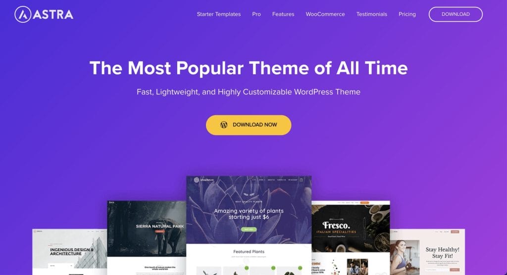 Astra – Fast Lightweight Customizable WordPress Theme Download Now 2024 06 004555 1