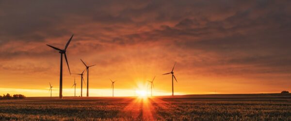 Sunset over wind turbines in field.
